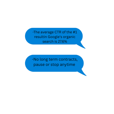 ROI-focused digital marketing results for Pinellas businesses