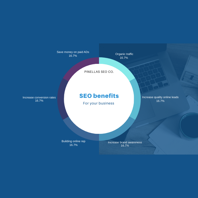 SEO optimization results chart showing traffic growth for Pinellas County business
